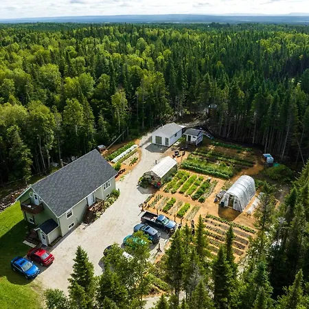 Upper Humber Settlement A Farmstay B&B-2